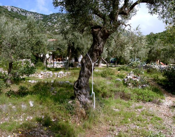  picture: Beautiful Plot in Pelion/Greece for Sale.