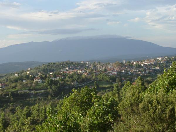  picture: Beautiful Plot in Pelion/Greece for Sale.