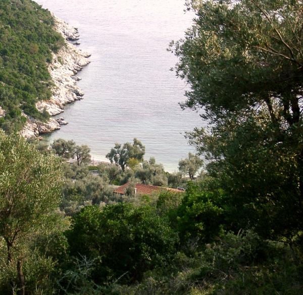  picture: Beautiful Plot in Pelion/Greece for Sale.