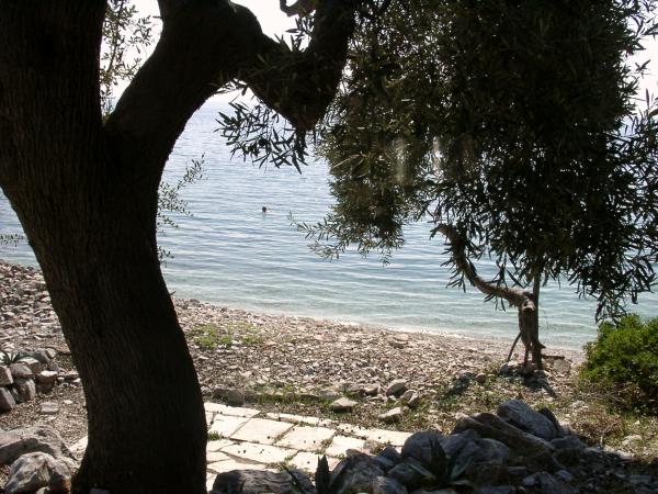  picture: Beautiful Plot in Pelion/Greece for Sale.