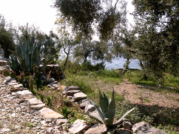  picture: Beautiful Plot in Pelion/Greece for Sale.