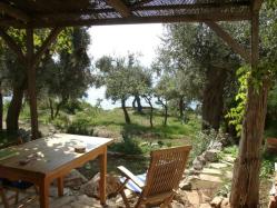  [Picture: Sitting on the veranda with a fascinating view down to the sea] 